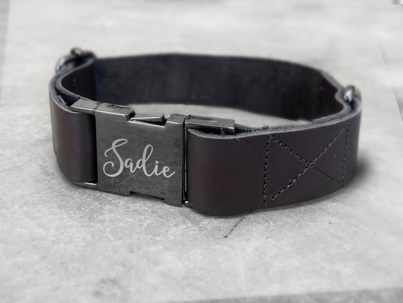 Laser Engraved Pet Collar